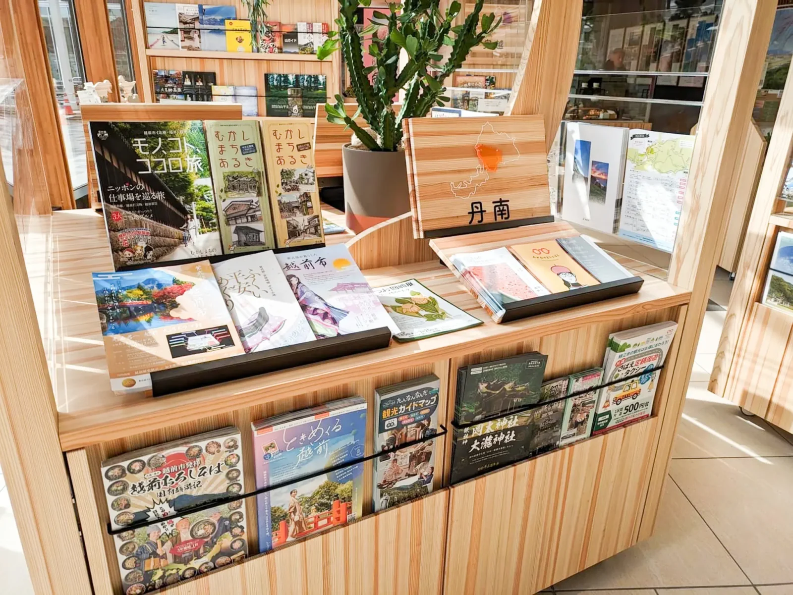 福井県内の地域別パンフレットを並べた杉製展示台